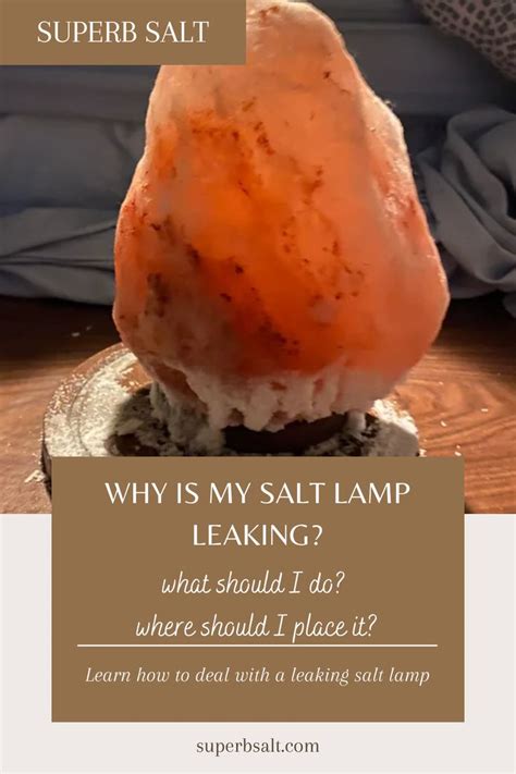 why is my salt rock leaking|How to Stop My Salt Lamp Leaking 